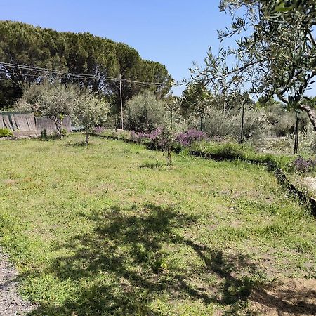 Villa Egle Belpasso, Villa Vacanza Con Piscina Екстериор снимка